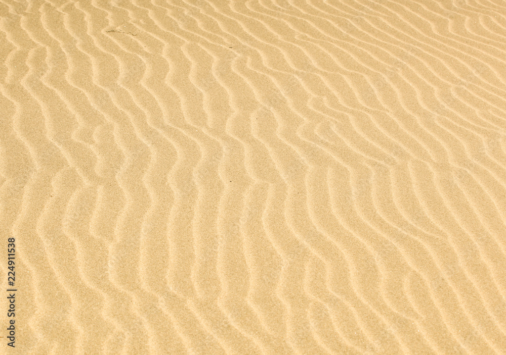 Sand background texture. Sand background texture.