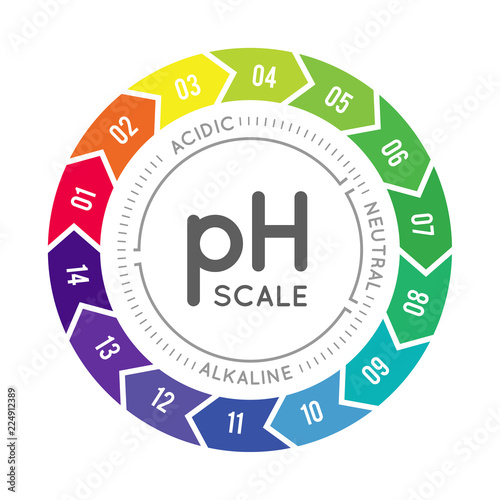 pH meter for measuring acid alkaline balance. Vector infographics in the circle form with pH scale