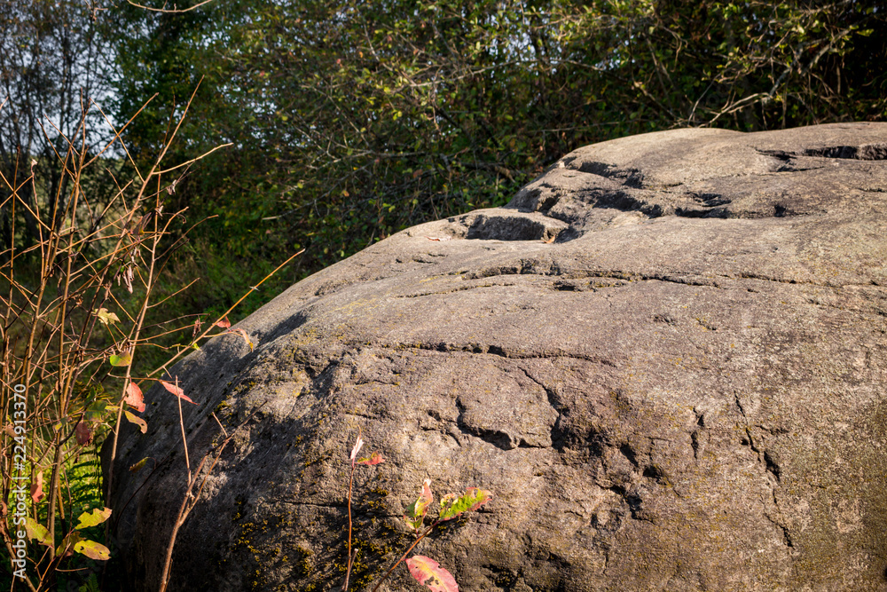 Fototapeta premium A huge boulder of glacial origin in the forest. The village of Malomakhovo, Borovsky district, Kaluzhskiy region, Russia