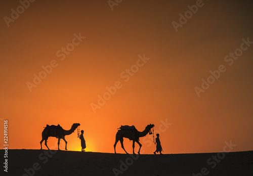 Silhouette of two friend walking their camels home