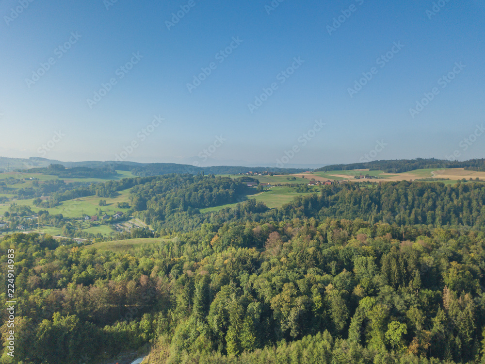 Aerial view of forest panorama in rural landscape