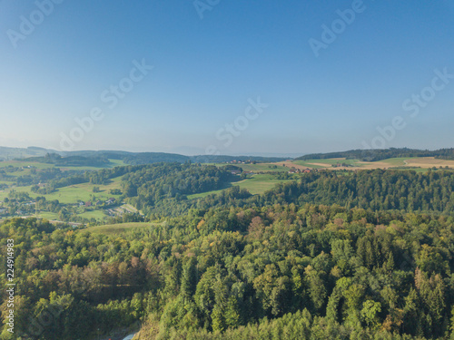 Fototapeta Naklejka Na Ścianę i Meble -  Aerial view of forest panorama in rural landscape