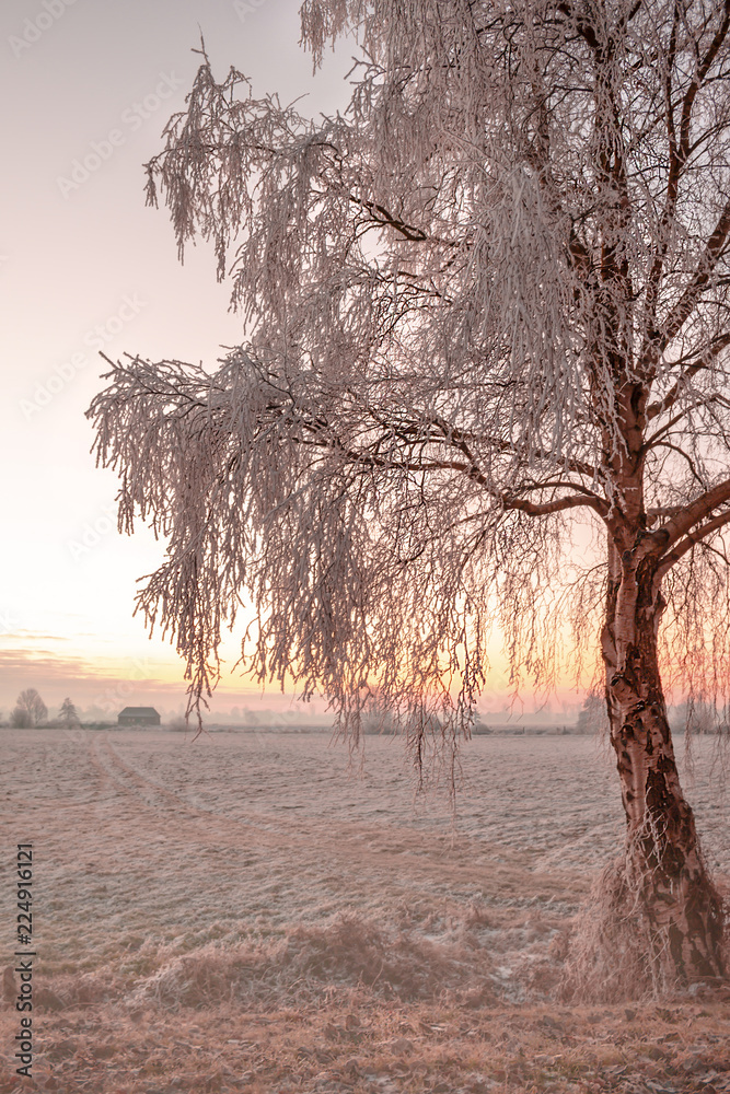 Fototapeta premium Winter Impressionen