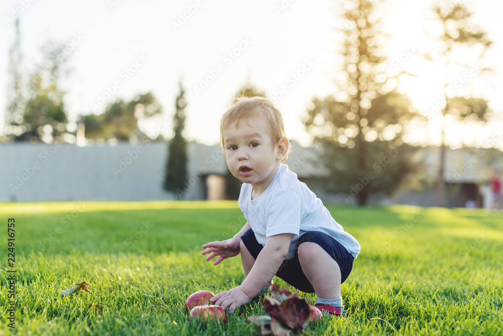 Cute baby playing with apples on a green lawn in the Park. Concept one-year-old child