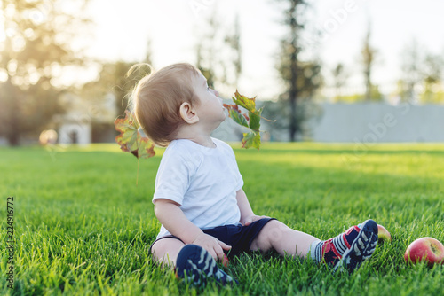 Cute baby playing with apples on a green lawn in the Park. Concept one-year-old child