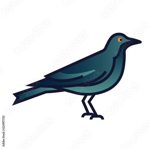 Crow gradient illustration