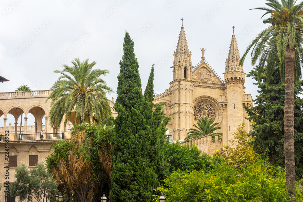 The Cathedral of Santa Maria of Palma or La Seu cathedral in Palma de Mallorca