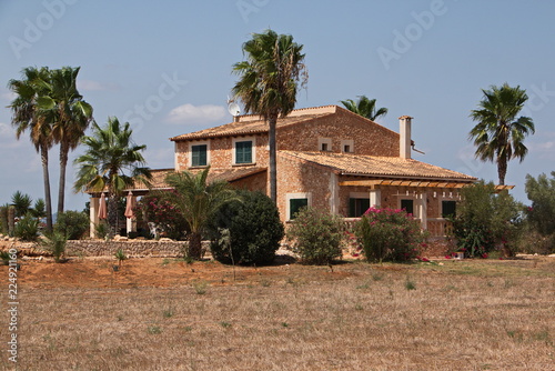 Residential house with palm trees near Ses Salines on Mallorca 
