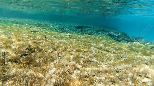 underwater exploration in a paradise island