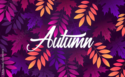 autumn leaves. natural background. banner design. vector illustration