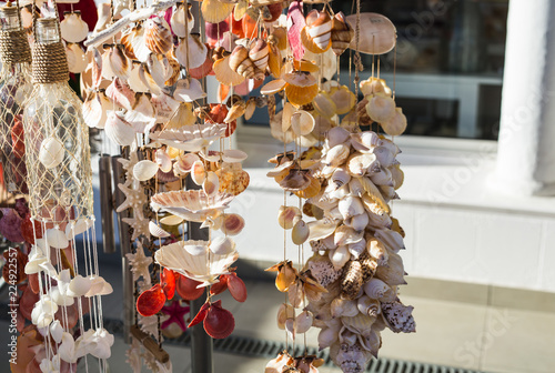 Big seashell collection in the street shop © satura_