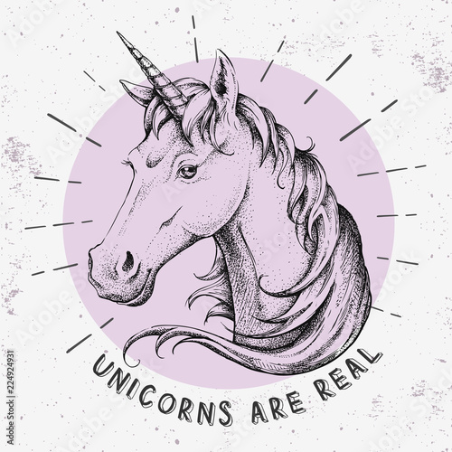 Hand drawing hipster fantasy animal unicorn illustration