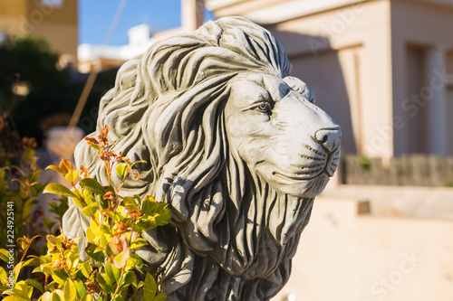 Stone lion statue. Marble Sculpture of a lion on pedestal photo