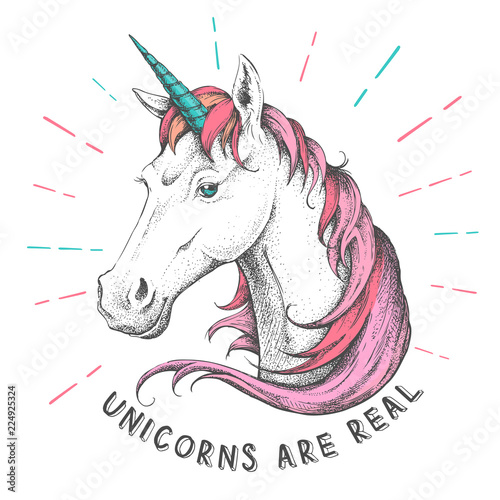 Hand drawing hipster fantasy animal unicorn illustration