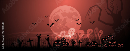 Halloween, zucche, zucca, paura, tutti i santi