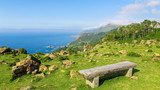 Rias Altas - Wooden Bench in a Green Landscape