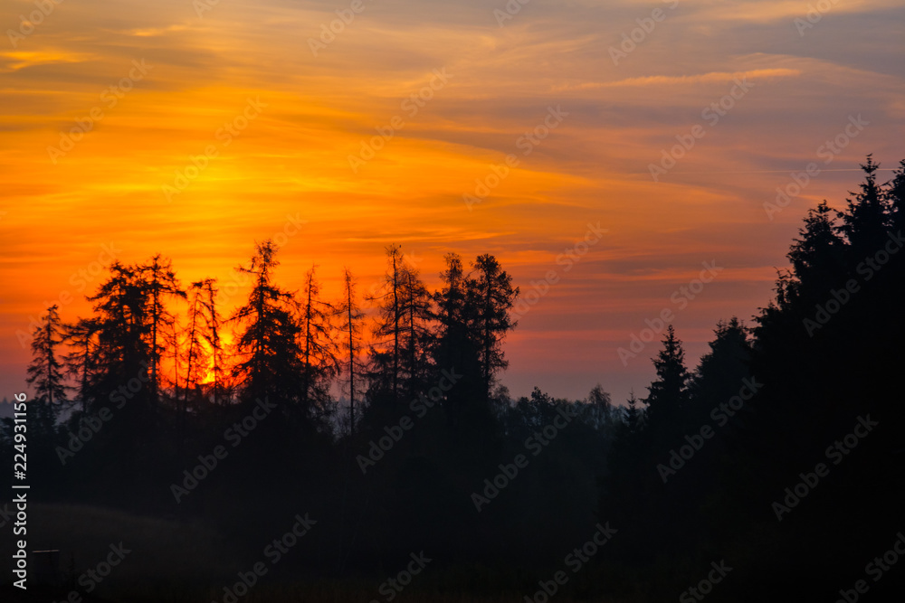 Dämmerung aufgehende Sonne erste Lichtstrahlen