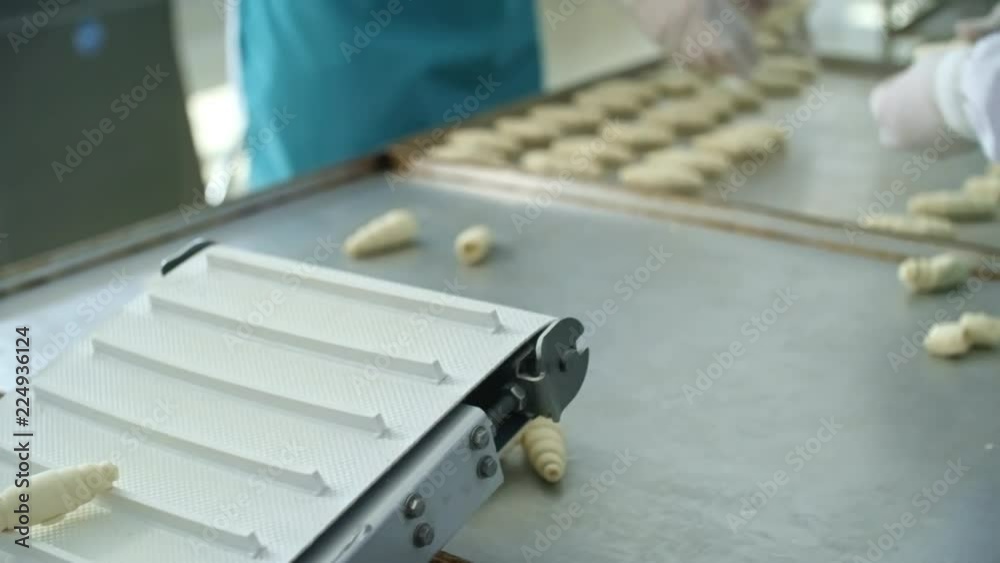 Hands of two unrecognizable factory workers taking croissants from conveyor belt and putting them on baking tray Hands of two unrecognizable factory workers taking croissants from conveyor belt and putting them on baking tray