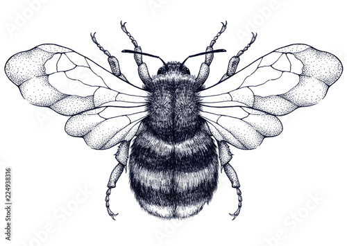 Bilde på lerret Honeybee tattoo