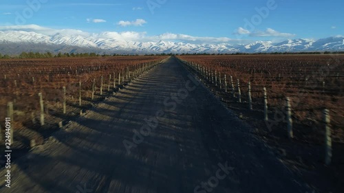 Aerial drone scene of vineyard in winter, traveling along internal gravel road. White snowy mountains at background. Camera ascending with general view of grape plants. Mendoza, Argentina. photo