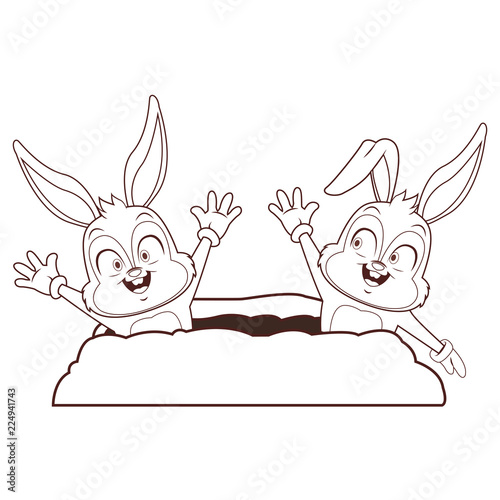 Rabbit couple cartoons