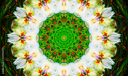 Natural mandala Art with a very detailed green pattern and white abstract shapes.