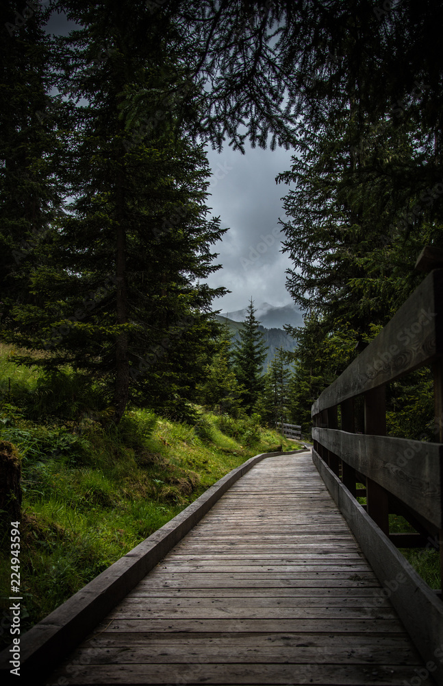Fototapeta premium path Austrian mountains