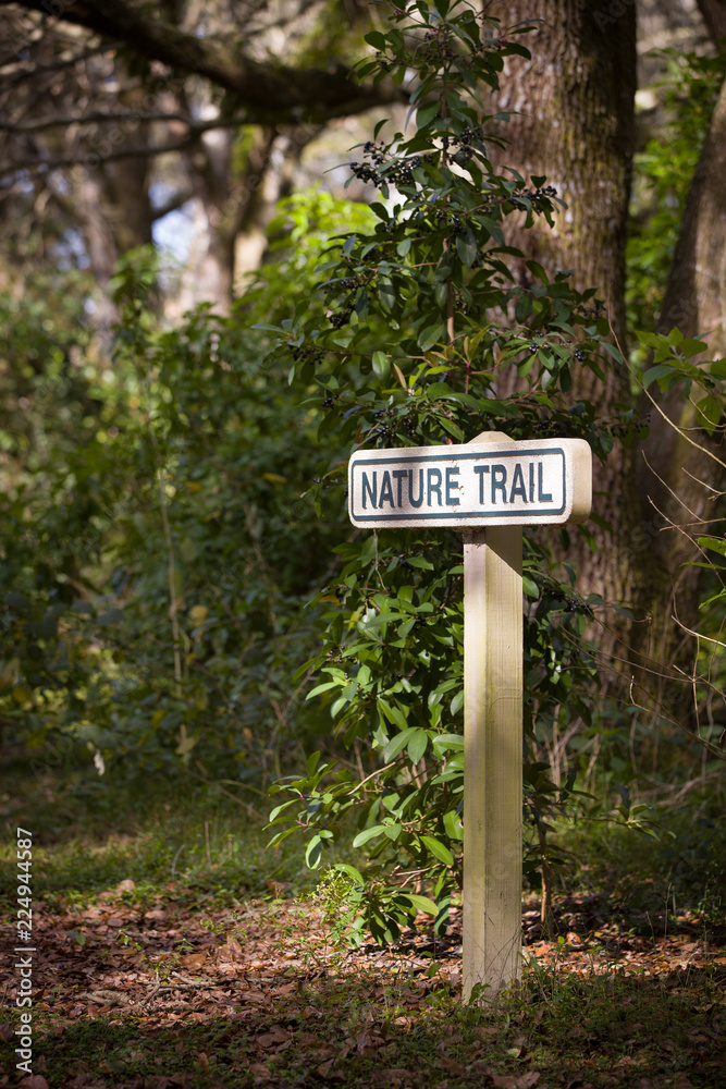 A nature trail in the rain forest. A sign with an entry to the forest.