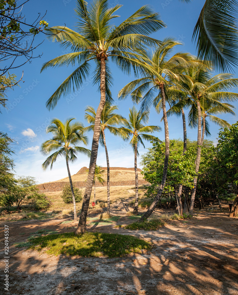 Fototapeta premium Pu'ukohola Heiau