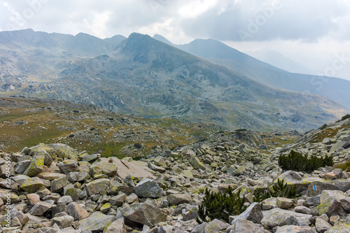 Amazing landscape of Spano pole, Pirin National park, Bulgaria photo