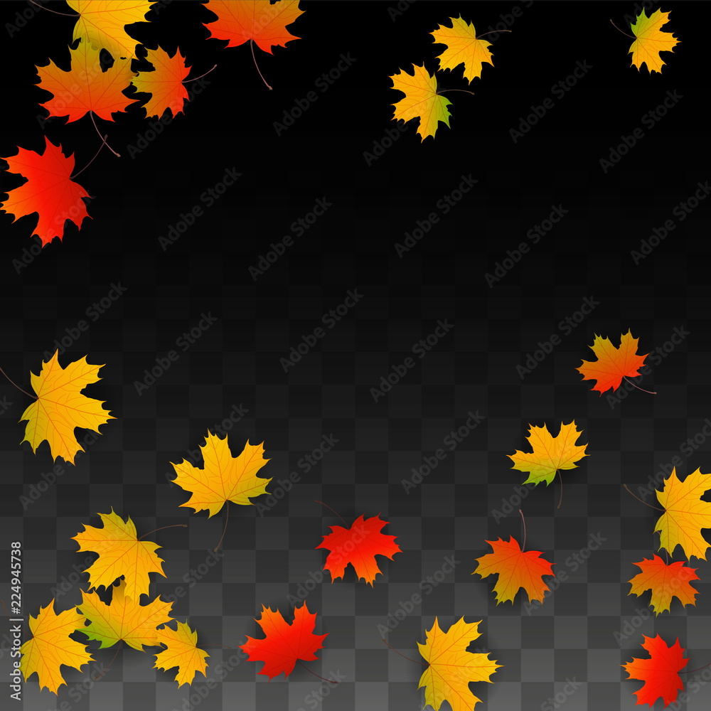 September Vector Background with Golden Falling Leaves. Autumn Illustration with Maple Red, Orange, Yellow Foliage. Isolated Leaf on Transparent Background. Bright Swirl. Suitable for Posters. September Vector Background with Golden Falling Leaves. Autumn Illustration with Maple Red, Orange, Yellow Foliage. Isolated Leaf on Transparent Background. Bright Swirl. Suitable for Posters.