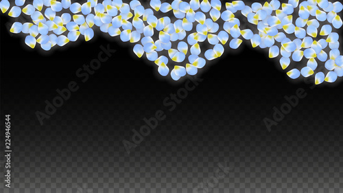 Vector Realistic Blue Petals Falling on Transparent Background.  Spring Romantic Flowers Illustration. Flying Petals. Sakura Spa Design. Blossom Confetti.