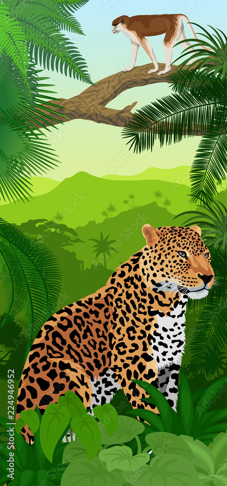 Fototapeta premium Vector Jungle rainforest vertical baner with jaguar or leopard and ape monkey