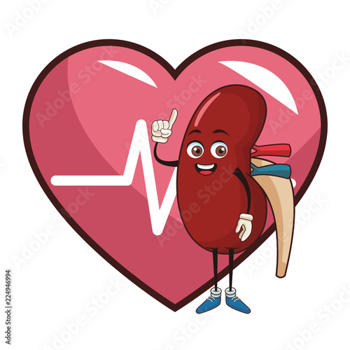Kidney funny cartoon