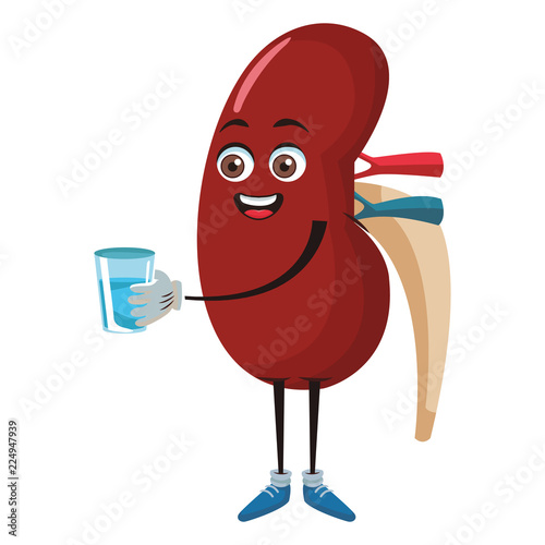 Kidney funny cartoon