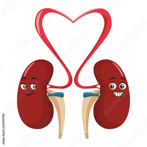 Kidneys funny cartoon