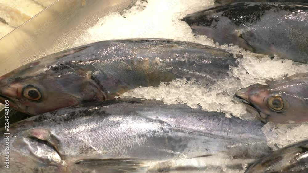 Daily catch fresh fish at the fish market in 4k slow motion 60fps Daily catch fresh fish at the fish market in 4k slow motion 60fps