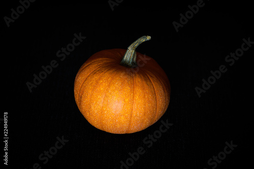 Pumpkin in darkness. Halloween mood. 