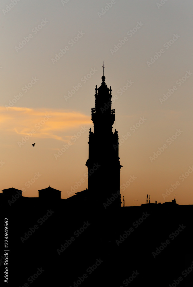 SIlhouetted Clerigos Tower with Seagull flying by