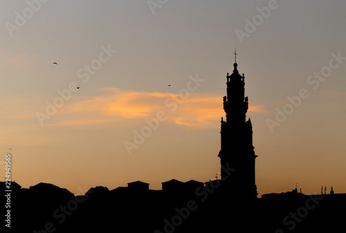 SIlhouetted Clerigos Tower with Seagulls flying by