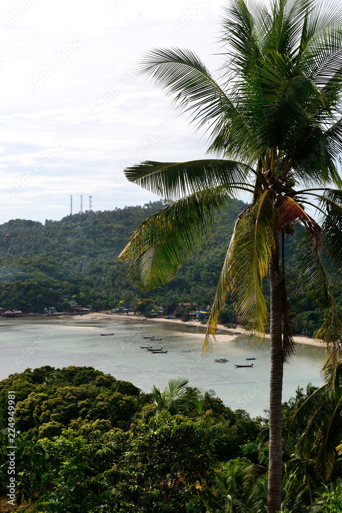 Sea view with the palm tree from viewpoint on island in Thailand