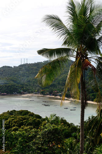 Sea view with the palm tree from viewpoint on island in Thailand © Olga Loko