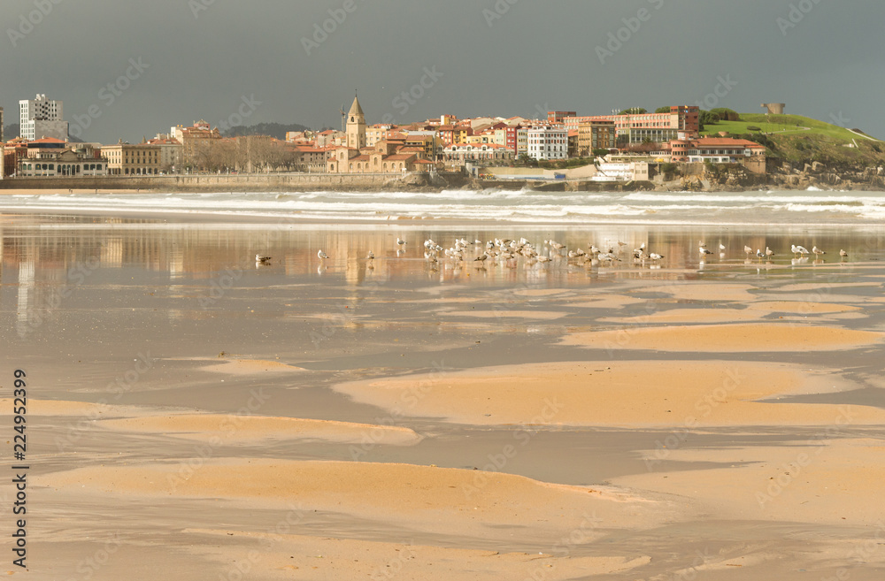 bucolic view of the beach of Gijon, Asturias, a cold and rainy winter morning, with seagulls posing in the sand.