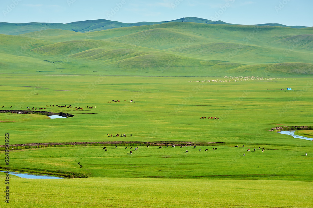 The Muzigler river valley of Hulunbuir grassland of China.