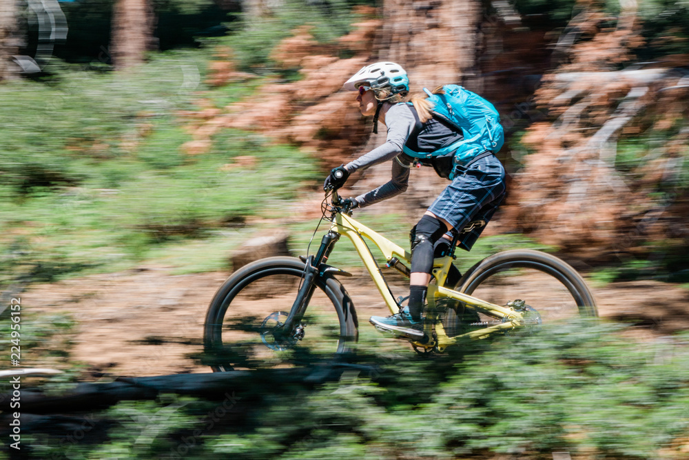 Fototapeta premium mountain biking South Lake Tahoe