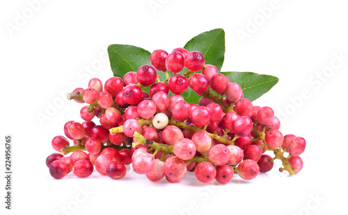 Antidesma puncticulatum Thai Blueberry Fruit (Mamao) isolated on white background