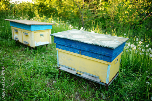 Polish landscape with beehives on ecological field