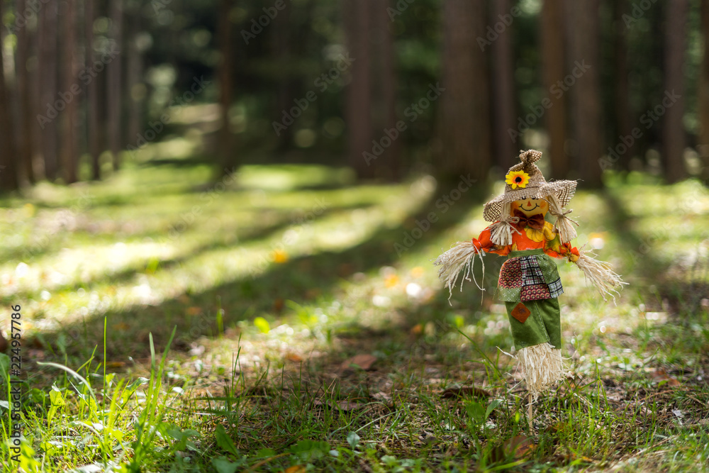 Toy Scare Crow Low to the Ground in a Forest Toy Scare Crow Low to the Ground in a Forest