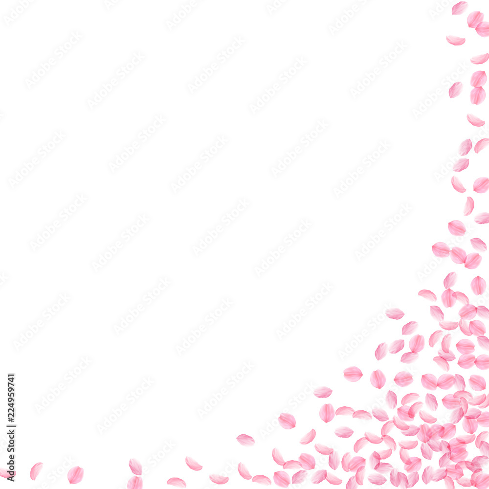 Sakura petals falling down. Romantic pink silky small flowers. Thick flying cherry petals. Square ri