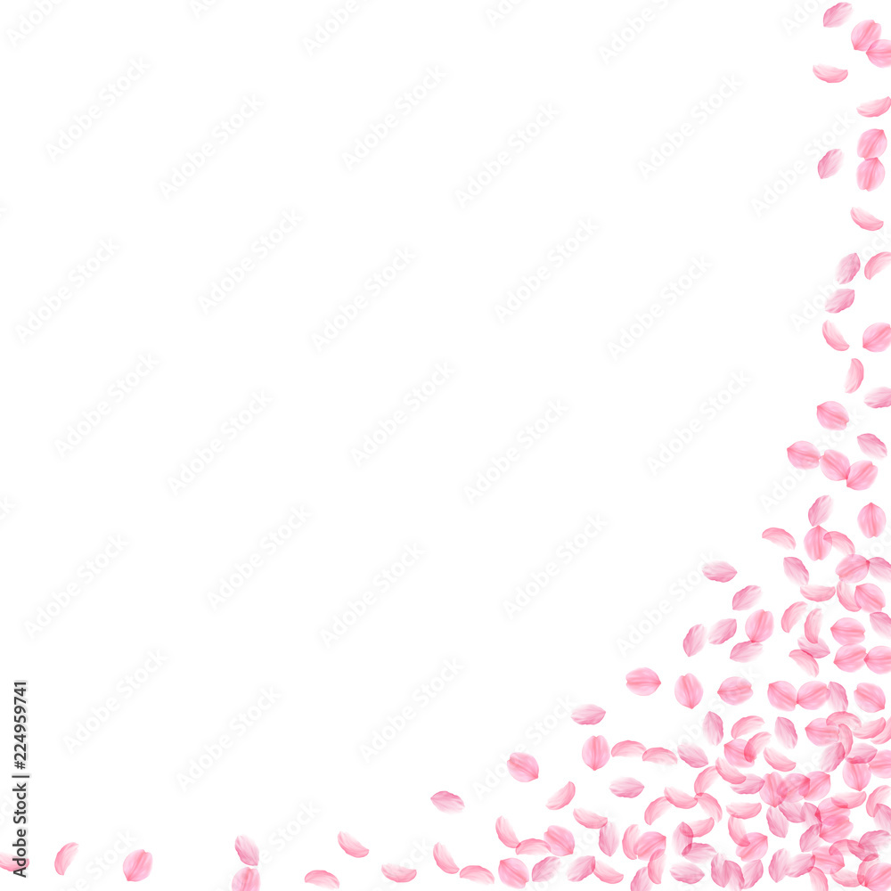 Sakura petals falling down. Romantic pink silky small flowers. Thick flying cherry petals. Square ri Sakura petals falling down. Romantic pink silky small flowers. Thick flying cherry petals. Square ri